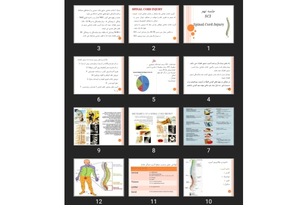 پاورپوینت Spinal Cord Injury SCI