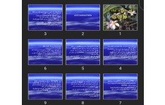 پاورپوینت مسمومیت با استامینوفن