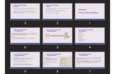 پاورپوینت Antibiotics Protein Synthesis Inhibitors