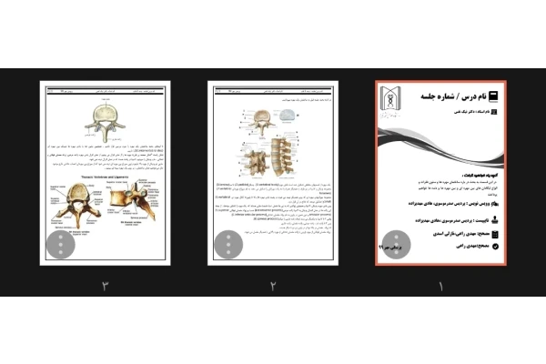 جزوه ساختمان مهره ها و ستون فقرات و انواع لیگمان ها