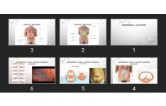 پاورپوینت ABDOMINAL ANATOMY