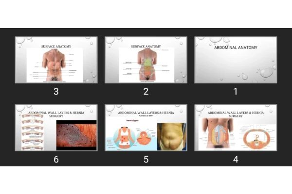 پاورپوینت ABDOMINAL ANATOMY
