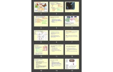 پاورپوینت Classification of Bacteria