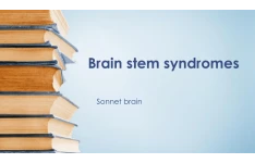 سندروم های ساقه مغز 🔬 نسخه کامل ✅