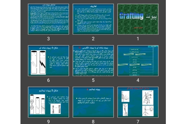پاورپوینت پیوند (Grafting)