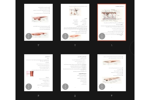 جزوه آناتومی و فیزیولوژی پوست