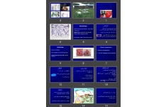 پاورپوینت آنتراكس Anthrax