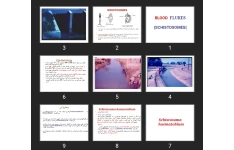 پاورپوینت BLOOD FLUKES (SCHISTOSOMES)
