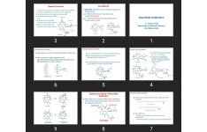 پاورپوینت Macrolide Antibiotics