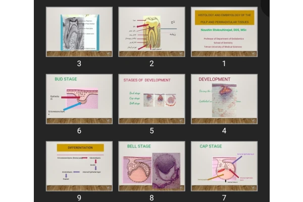 پاورپوینت Histology and embryology of the Pulp and periradicular tissues