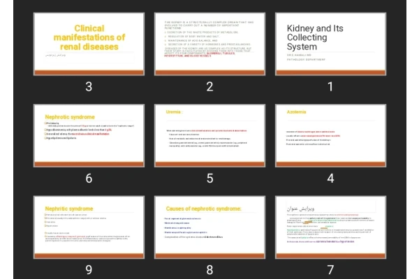 پاورپوینت Kidney and Its Collecting System