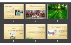 پاورپوینت پرستار و حرفه پرستاری