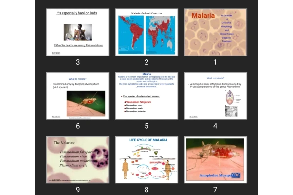 پاورپوینت Malaria