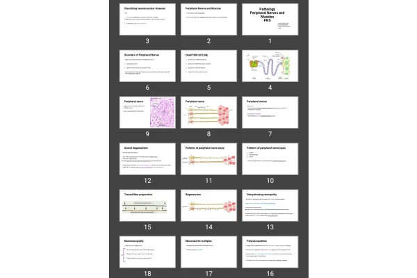 پاورپوینت Pathology Peripheral Nerves and Muscles PNS