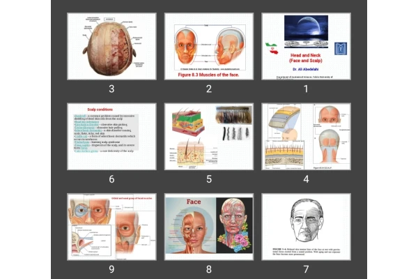 پاورپوینت Head and Neck (Face and Scalp)