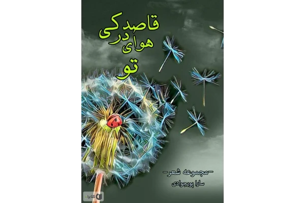   کتاب قاصدکی در هوای تو