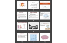 پاورپوینت The Eye: II. Receptor and Neural Function of the Retina