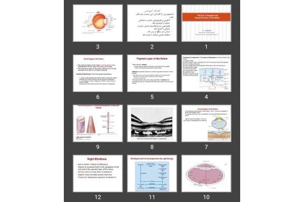 پاورپوینت The Eye: II. Receptor and Neural Function of the Retina