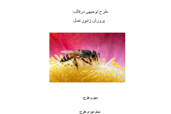 طرح توجیهی پرورش زنبور عسل  تهیه شده در سال 1400بصورت فایل word/