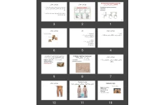 پاورپوینت دیس پلازی تکاملی هیپ