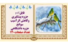 جزوه پیشگیری وکاهش اثرآسیب سوانح جزوه دانشگاهی