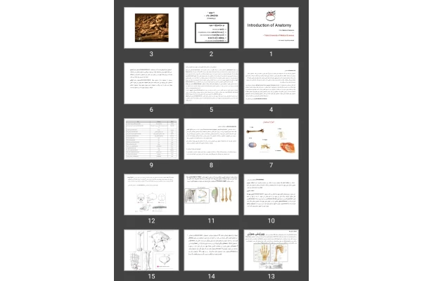 پاورپوینت Introduction of Anatomy