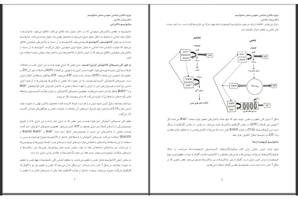جزوه متابولیسم باکتریایی
