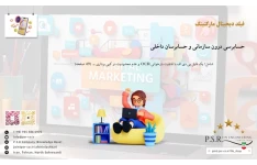 حسابرسی درون سازمانی و حسابرسان داخلی