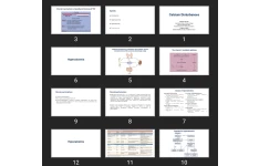 پاورپوینت Calcium Disturbances