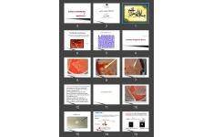 پاورپوینت آزمایشگاه میکروب شناسی (Isolation and Identification of Staphylococci )