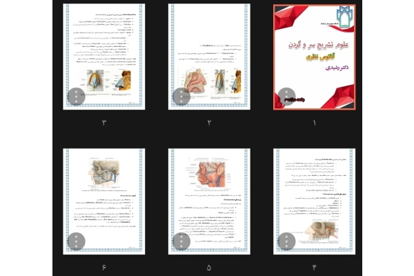 جزوه علوم تشریح سر و گردن، بینی