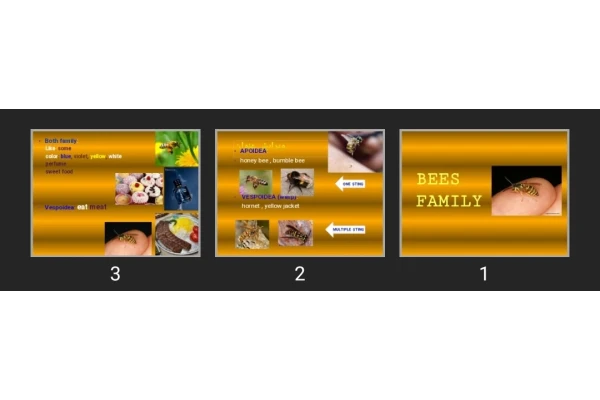 پاورپوینت BEES FAMILY