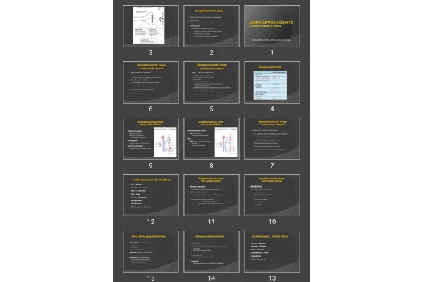 پاورپوینت Adrenoceptor Agonists & Sympathomimetic Drugs