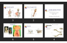 پاورپوینت Musculoskeletal system 1 (upper limb) Osteology of Shoulder girdle