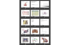 پاورپوینت مروری بر آناتومی کارکردی و فیزیولوژی دستگاه تنفسAnatomy and physiology of respiratory system