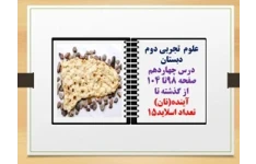 پاورپوینت علوم تجربی دوم دبستان درس چهاردهم  صفحه 98تا 104 از گذشته تا آینده(نان)