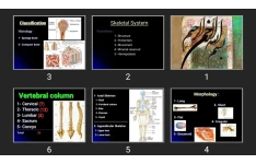 پاورپوینت Chest wall _Bones & cartilages & Joints