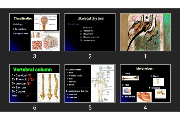 پاورپوینت Chest wall _Bones & cartilages & Joints
