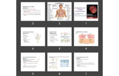 پاورپوینت Pathogenesis and  Control of Viral Diseases