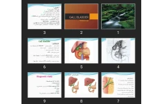 پاورپوینت GALL BLADDER