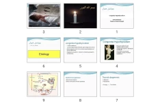 پاورپوینت Congenital Hypothyroidism