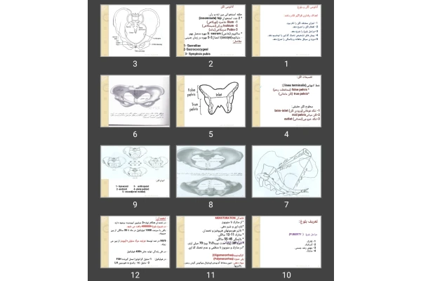 پاورپوینت آناتومی لگن و بلوغ