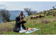 پادکست چوبان ساده(رمان)