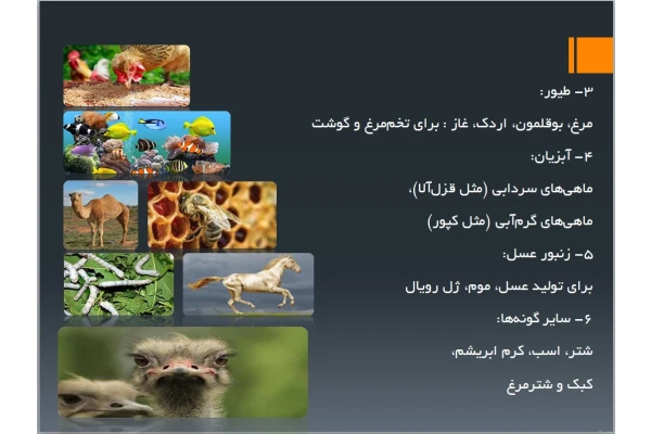 پرورش و نگهداری از حیوانات (پودمان درس کار و فناوری نهم)