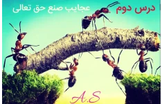 پاورپوینت درسنامه درس دوم‌ فارسی نهم: عجایب صنع حق تعالی