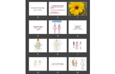پاورپوینت Anatomical Terminology اصطلاحات آناتومی