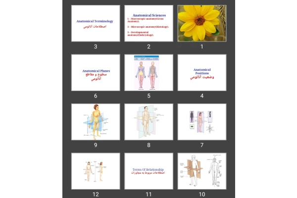 پاورپوینت Anatomical Terminology اصطلاحات آناتومی