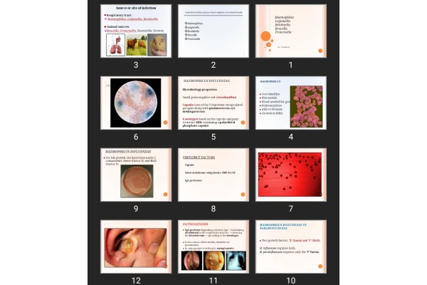 پاورپوینت کودک Haemophilus Legionella Bordetella Brucella Francisella
