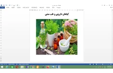 طب سنتی و گیاهان دارویی: طبایع و مزاجها، تغذیه صحیح، خون گیری و گیاهان دارویی