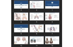 پاورپوینت Basic Concepts and Pathophysiology of Respiratory Diseases